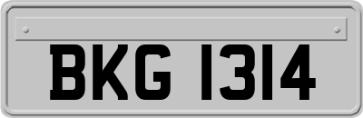 BKG1314