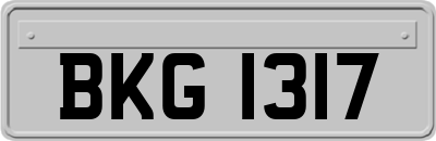 BKG1317