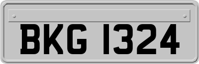BKG1324