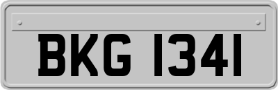 BKG1341