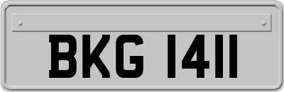 BKG1411