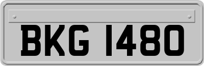 BKG1480