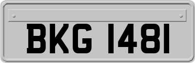 BKG1481