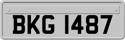 BKG1487