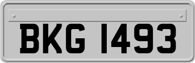 BKG1493