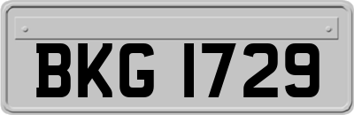 BKG1729