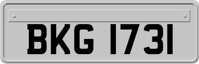 BKG1731