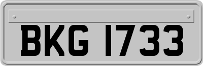 BKG1733