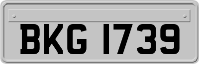 BKG1739