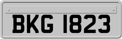 BKG1823