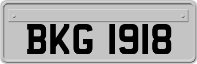 BKG1918