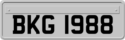 BKG1988