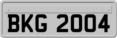 BKG2004