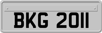 BKG2011