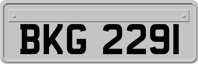 BKG2291