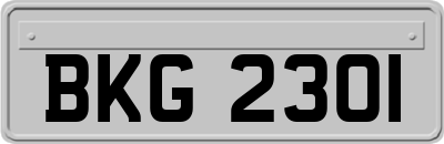 BKG2301