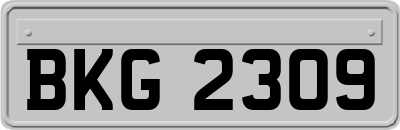 BKG2309