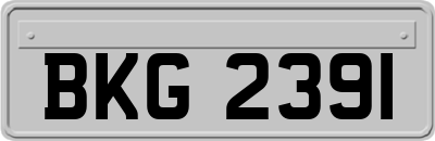 BKG2391