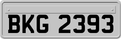 BKG2393