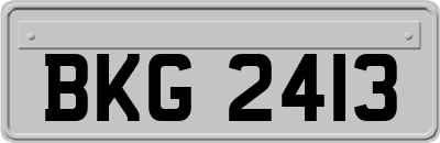 BKG2413