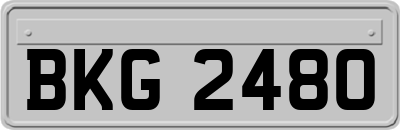 BKG2480