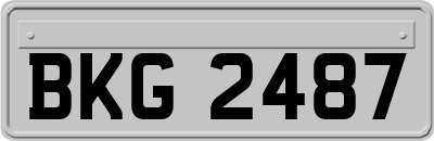BKG2487