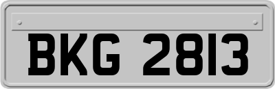 BKG2813