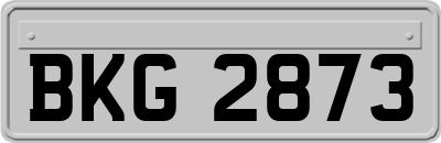 BKG2873