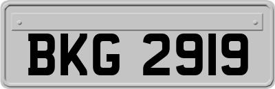 BKG2919