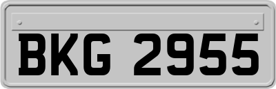 BKG2955