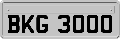 BKG3000