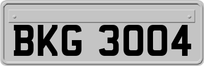 BKG3004