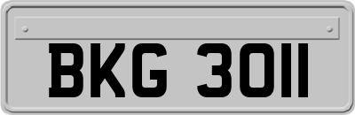 BKG3011