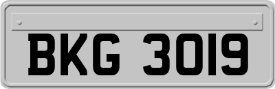 BKG3019