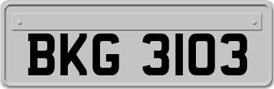 BKG3103