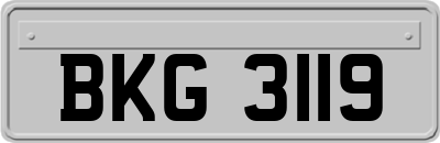 BKG3119