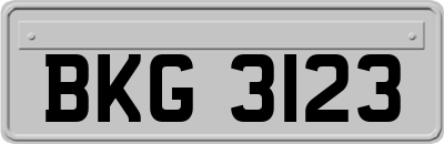 BKG3123