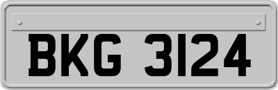 BKG3124
