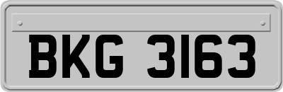 BKG3163