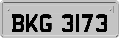 BKG3173