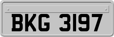 BKG3197