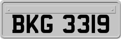 BKG3319