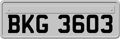 BKG3603