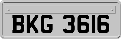 BKG3616
