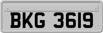BKG3619
