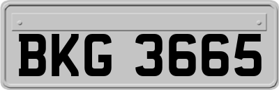 BKG3665