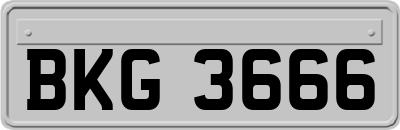 BKG3666