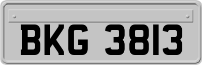 BKG3813