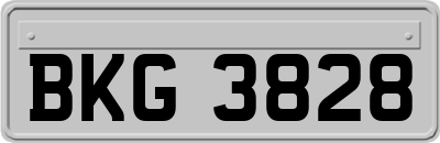 BKG3828