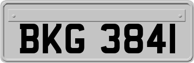 BKG3841